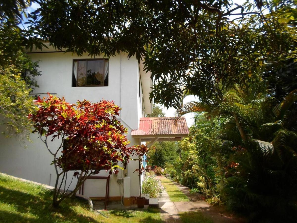 Gigi'S Self Catering Apartment Port Glaud Dış mekan fotoğraf